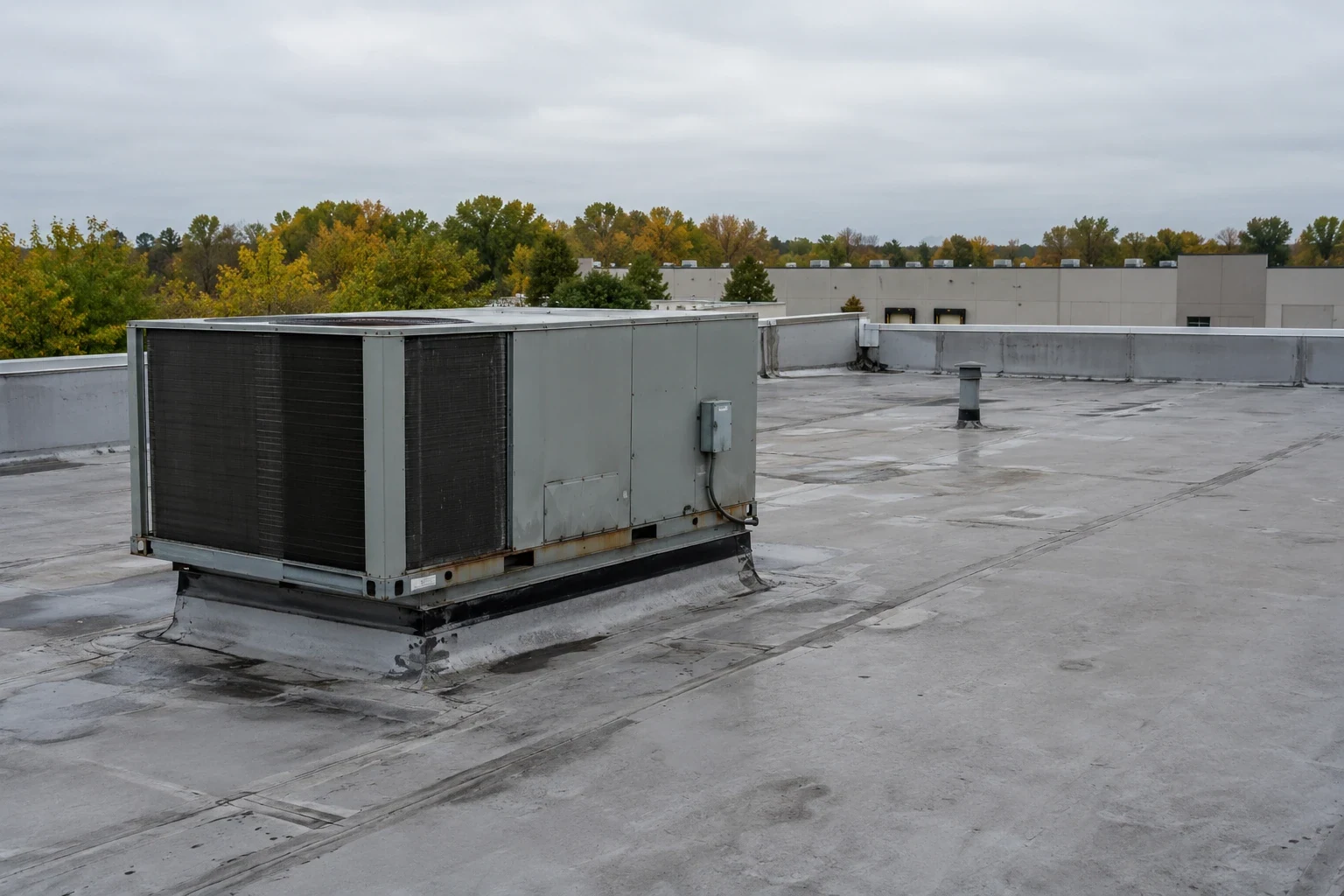 Cold Storage Roofing in Elizabeth, NJ